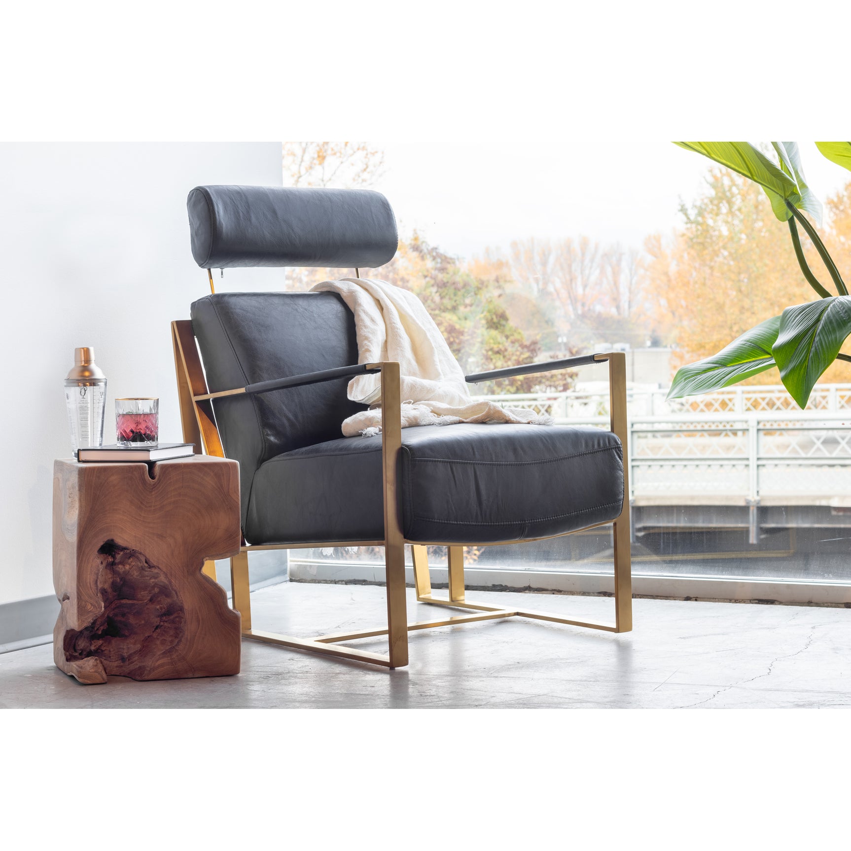 Paradiso Black Chair - Ornate Home