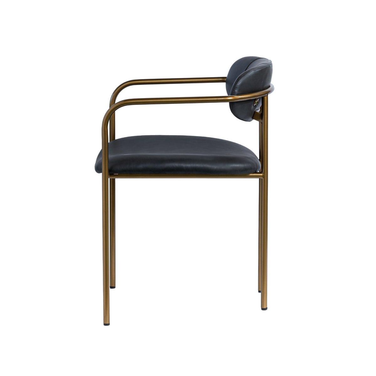 Parker Black/Gold Curved Back Dining Arm Chair (Set of 2) - Ornate Home