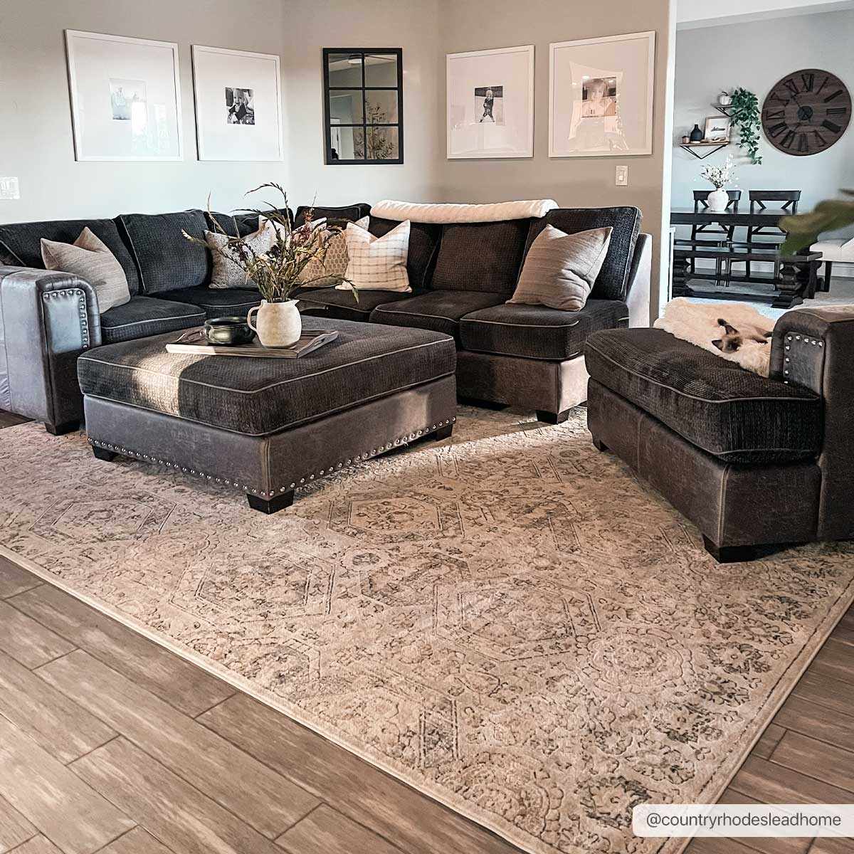 Parkerfield Area Rug - Ornate Home