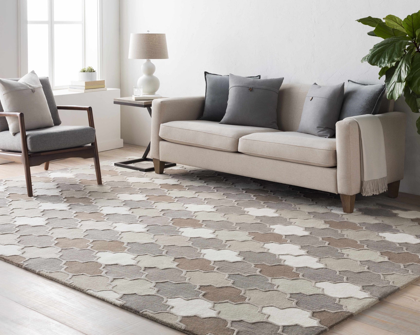 Paron Area Rug - Clearance - Ornate Home