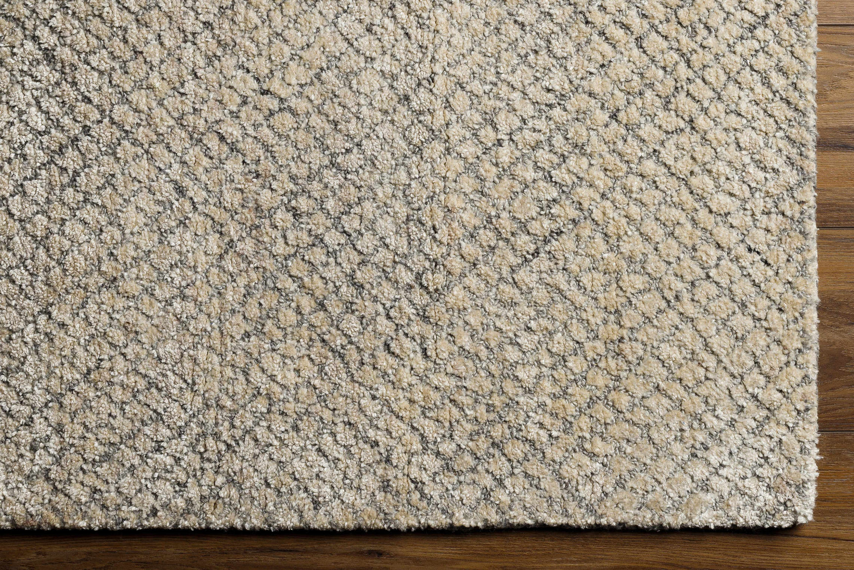 Phalaborwa Area Rug - Clearance - Ornate Home