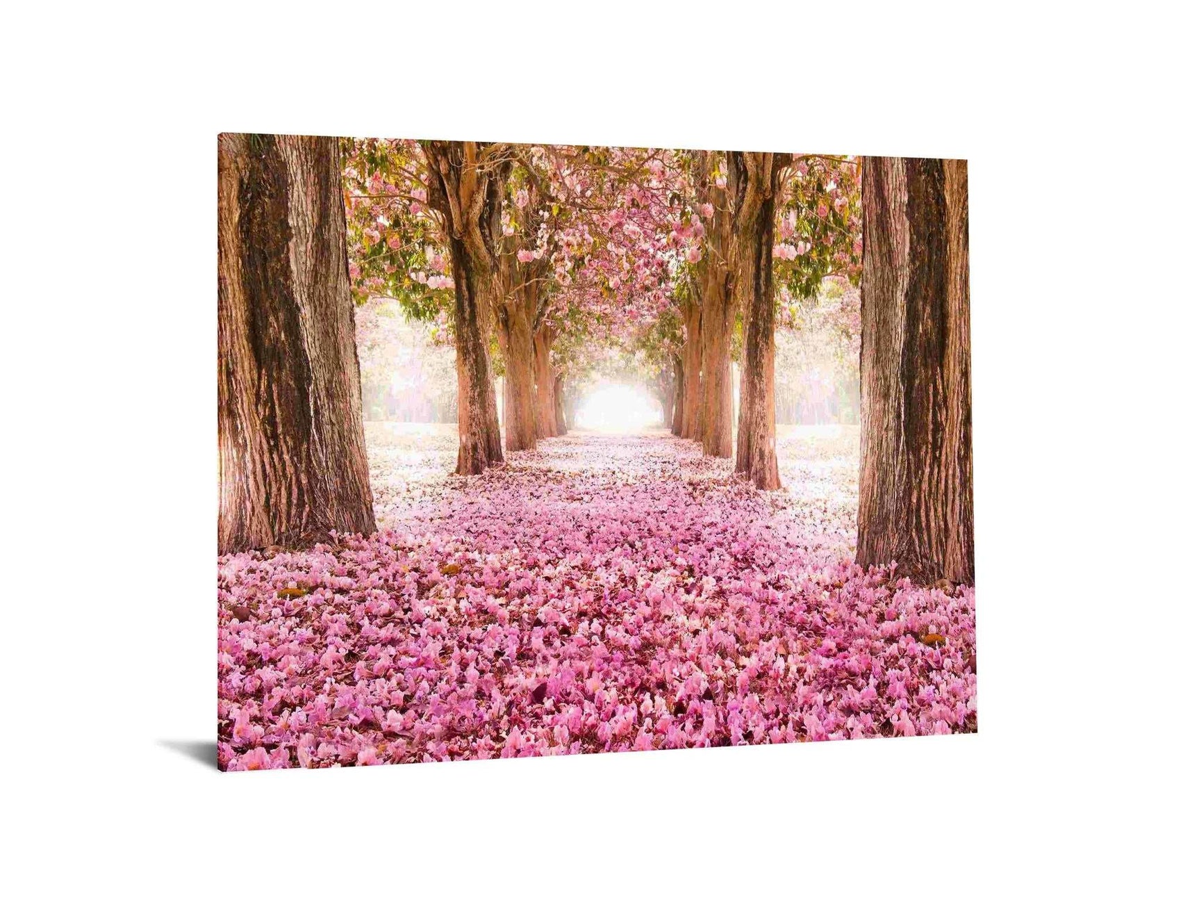 Pink Cherry Blossom Tempered Glass w / Foil Wall Art - Ornate Home