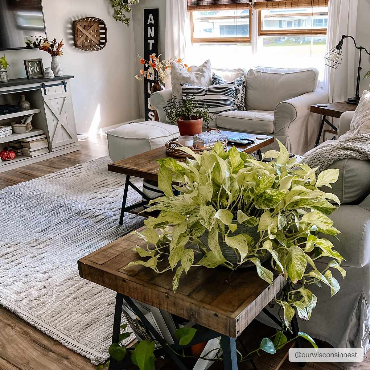 Poydras High-Low Rustic Rug - Ornate Home