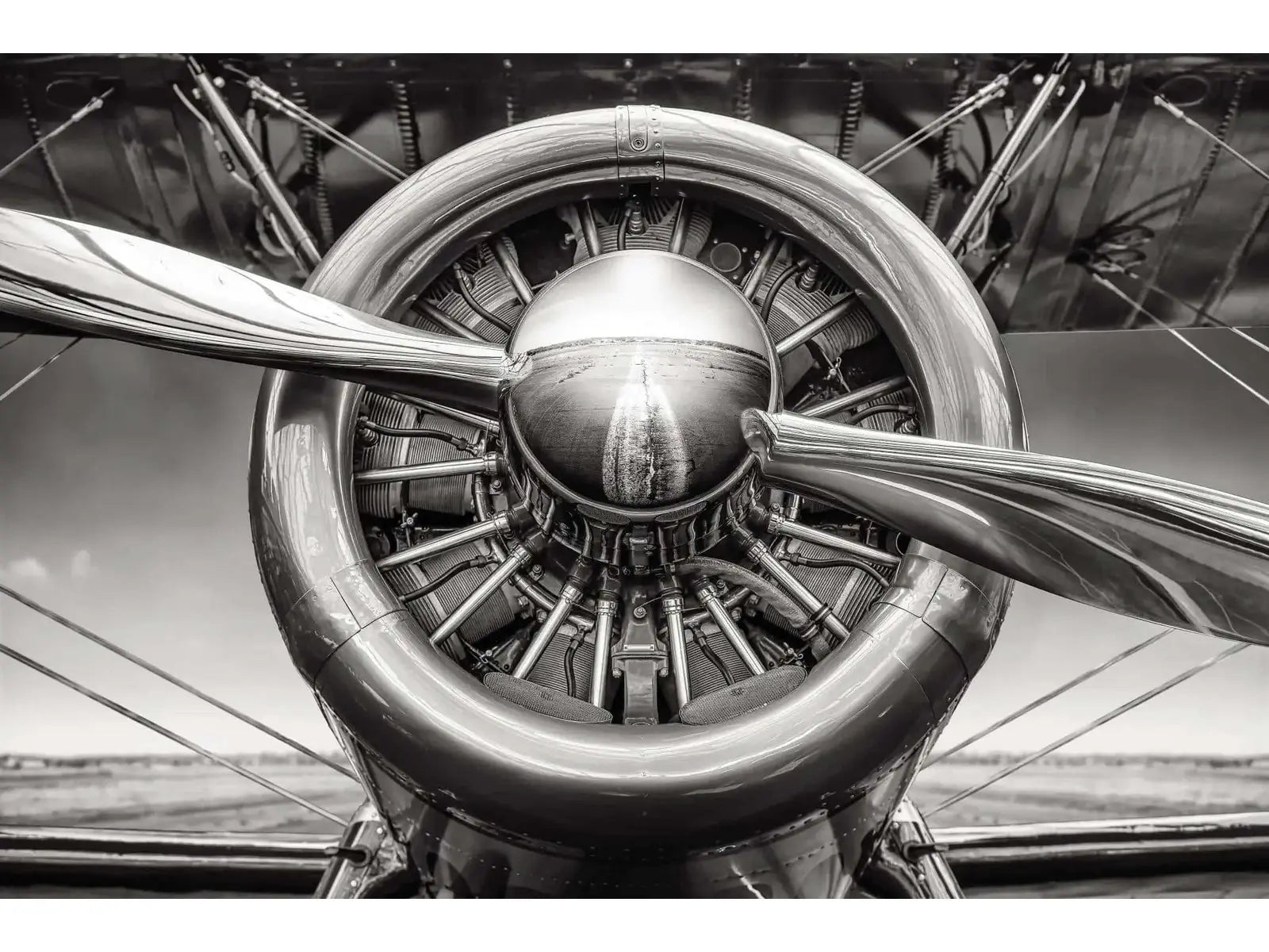 Propeller 2 Tempered Glass w / Foil Wall Art - Ornate Home