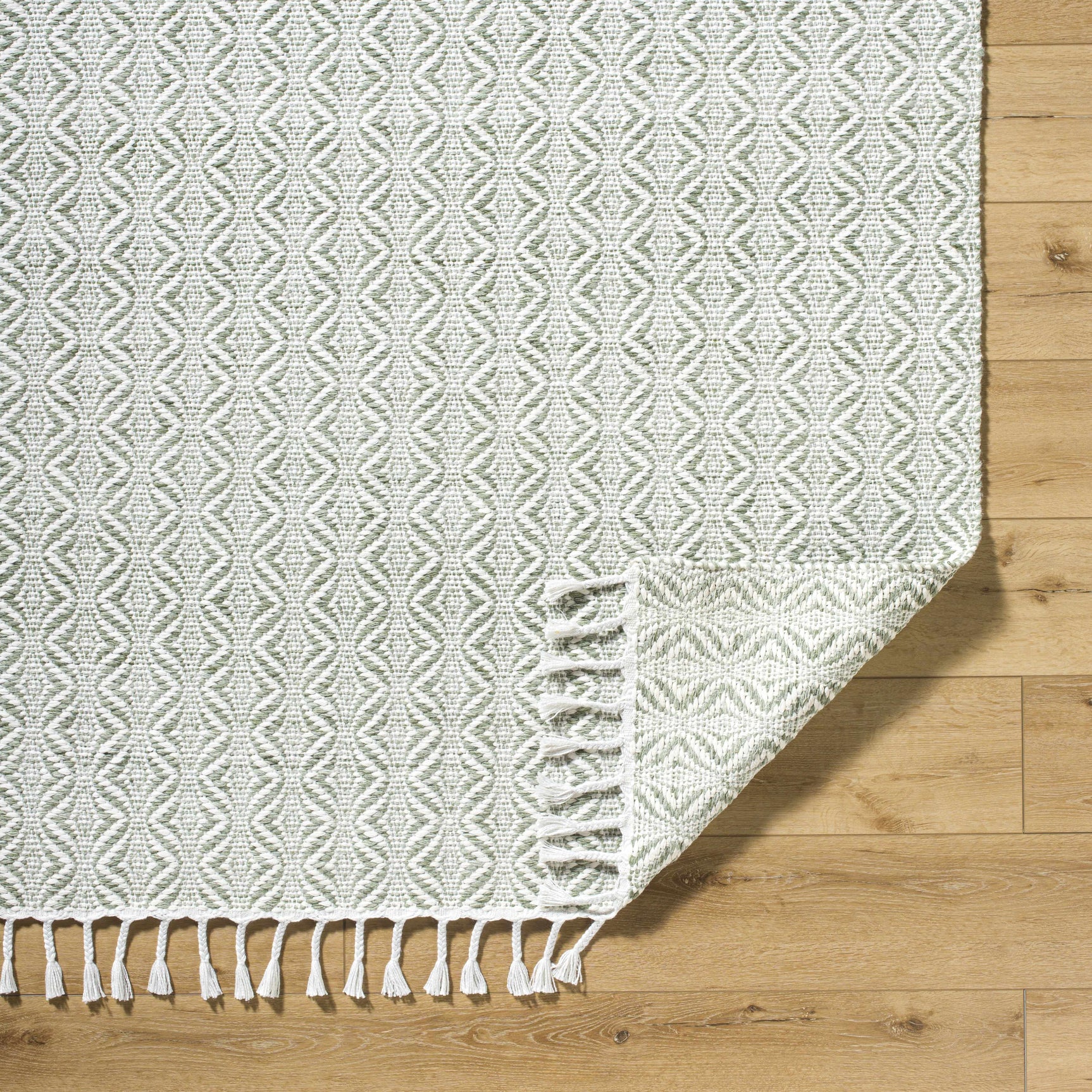 Anelia Sage Area Rug - Clearance