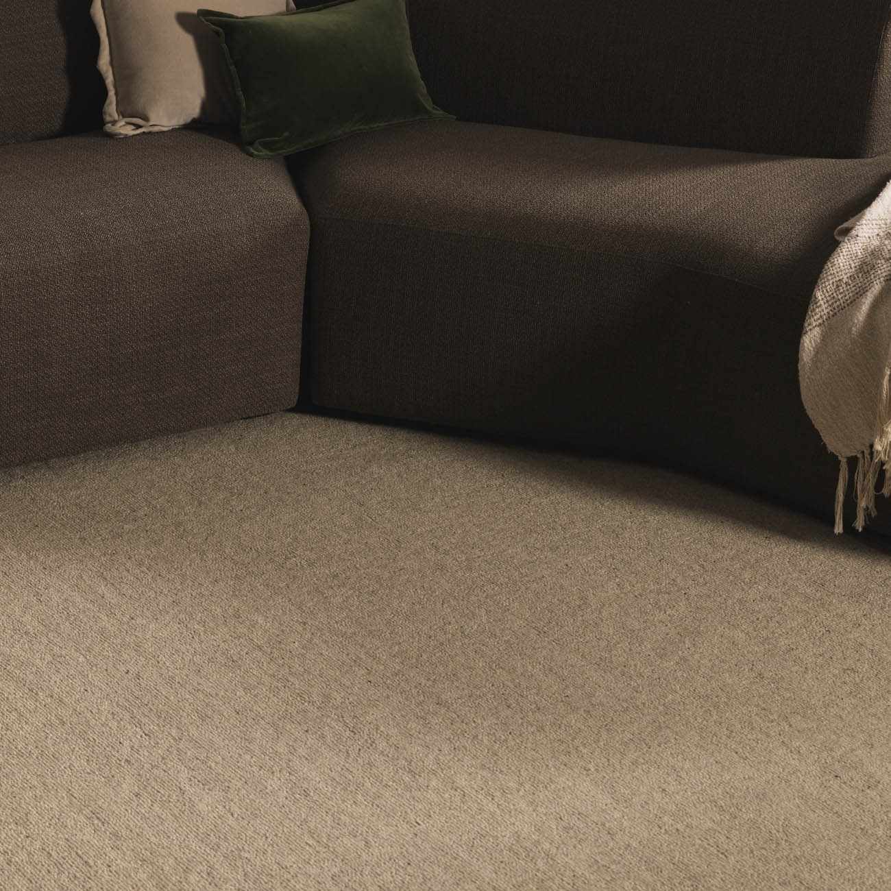 Tareq Area Rug - Clearance