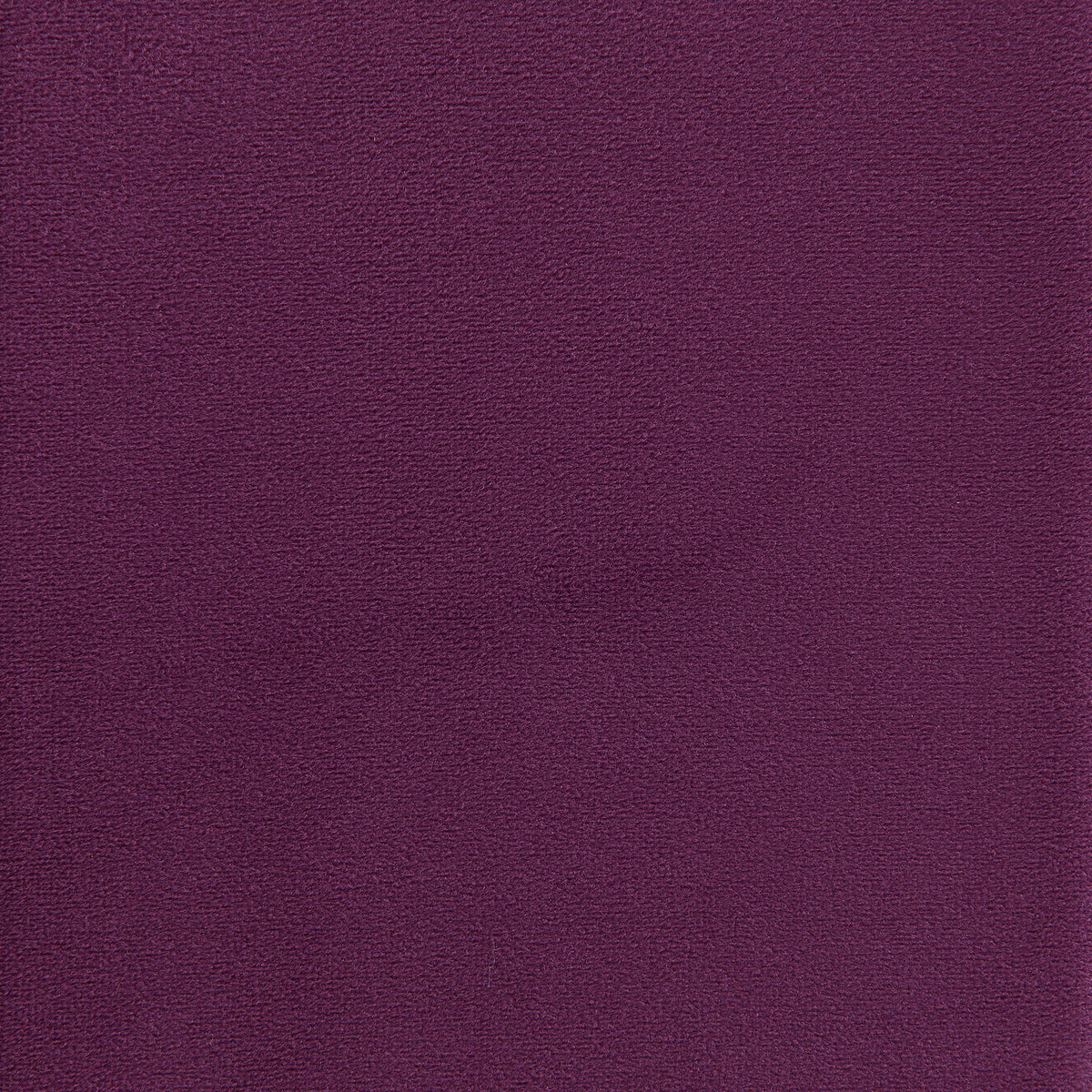 Rae Lavish Purple Velvet Chair - Ornate Home