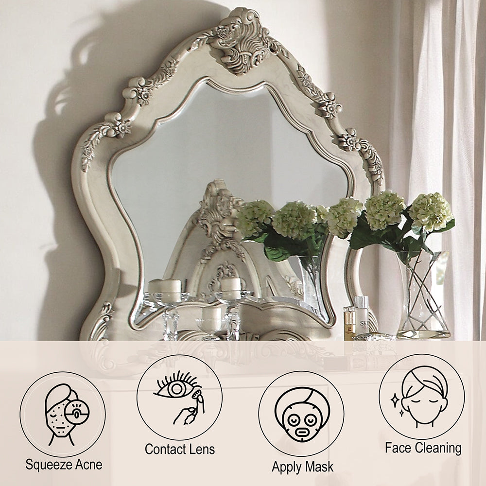 Ragenardus Mirror in Antique White - Ornate Home