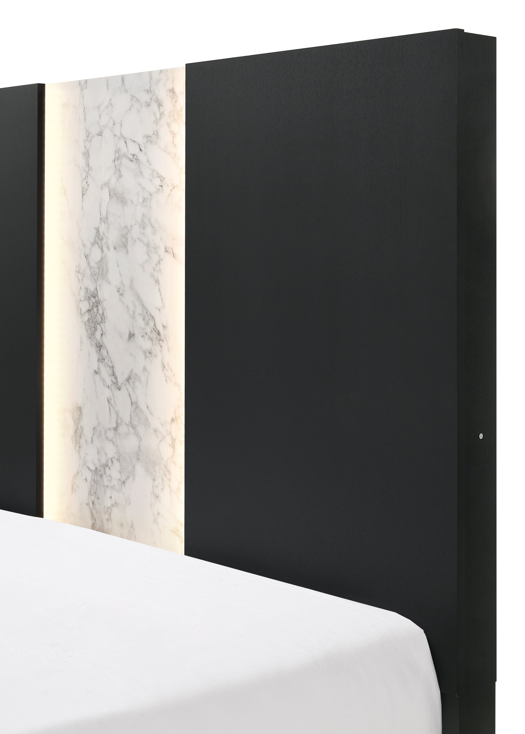 Rangley Black King Panel Bed - Ornate Home