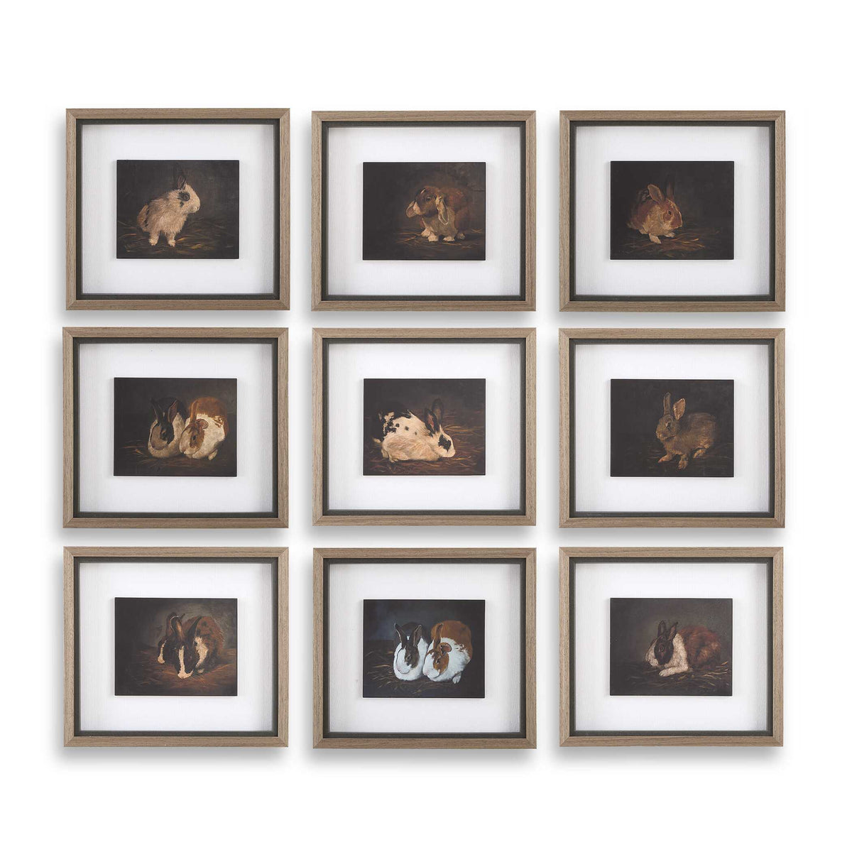 Resting Bunny Multicolor Framed Prints (Set of 9) - Ornate Home