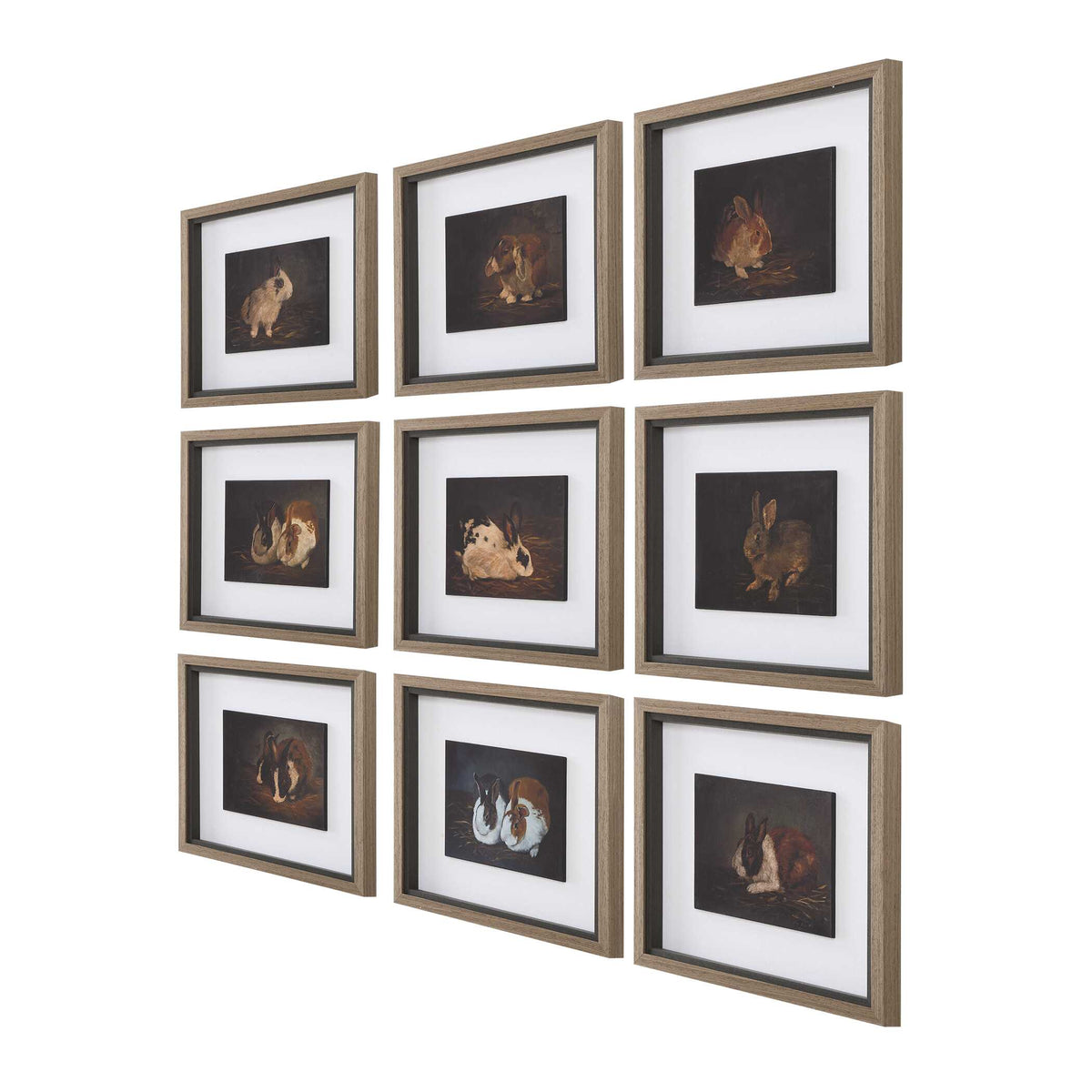 Resting Bunny Multicolor Framed Prints (Set of 9) - Ornate Home