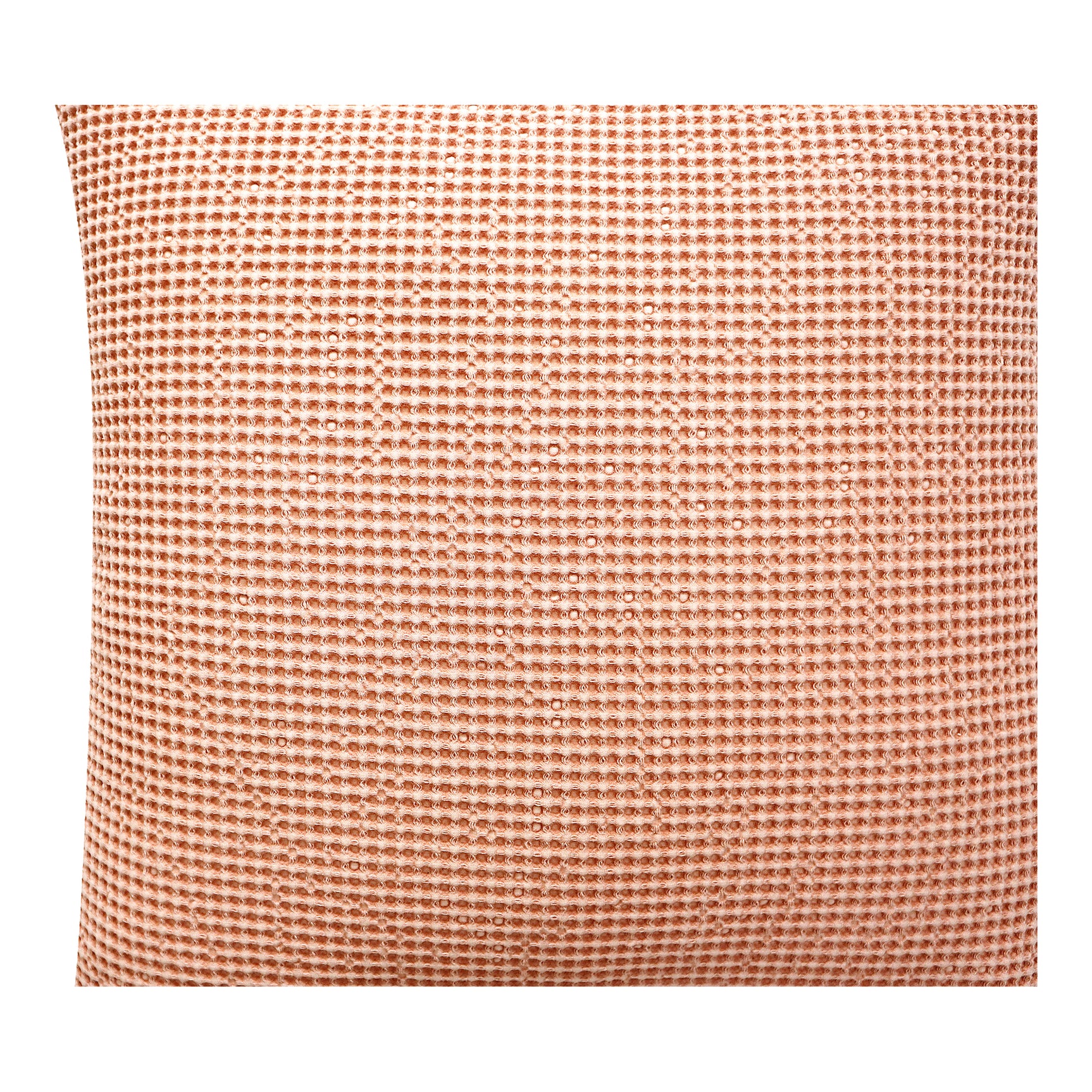 Ria Pink Pillow - Ornate Home