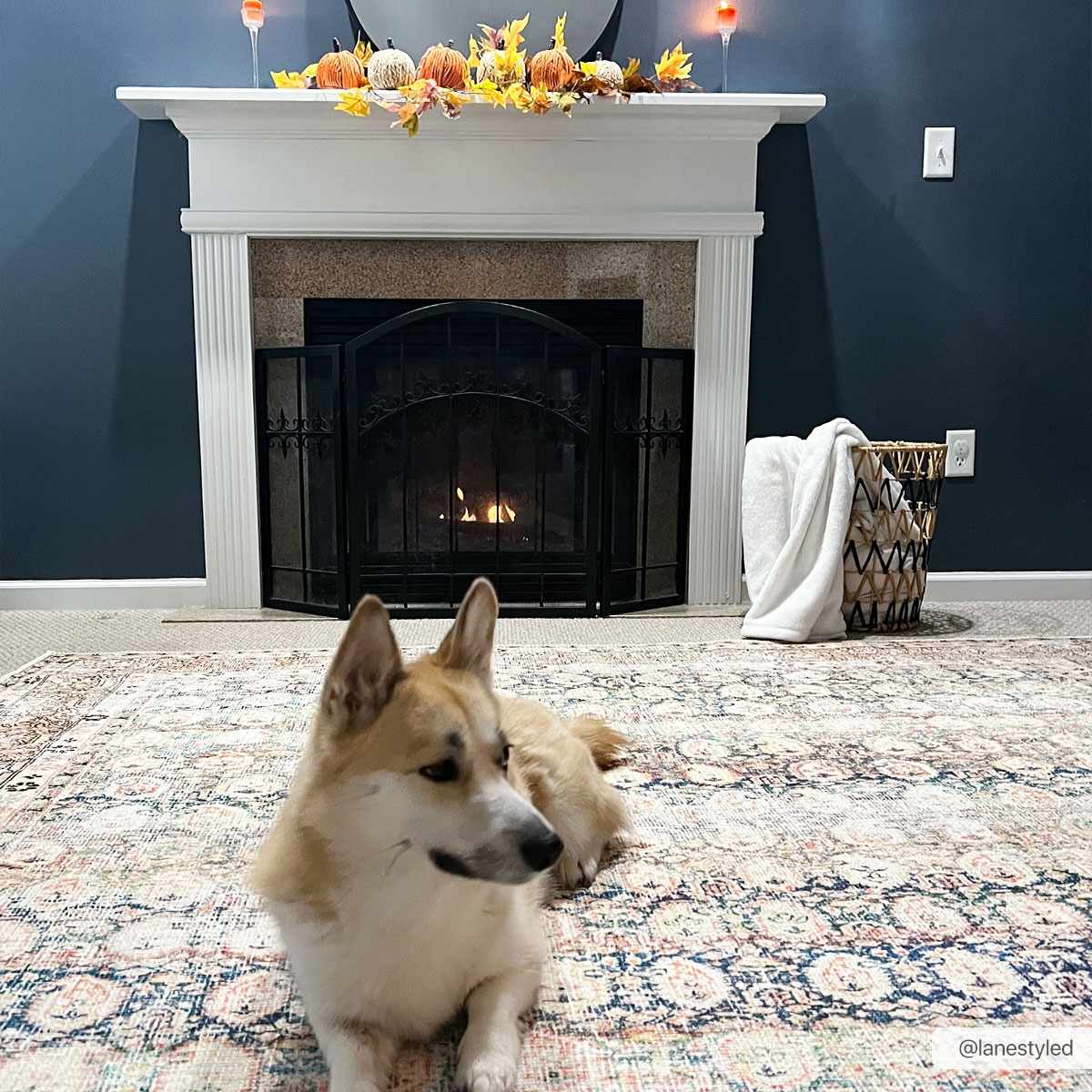 Rust Maligaya Distressed Washable Area Rug - Clearance - Ornate Home