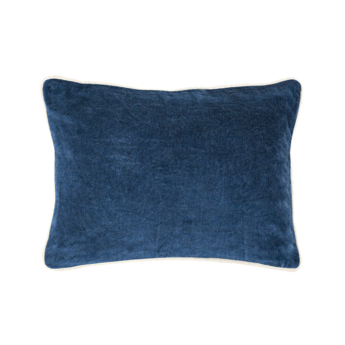 SLD Heirloom Navy Velvet Multiple Sizes Throw Pillow (Set of 2) - Ornate Home