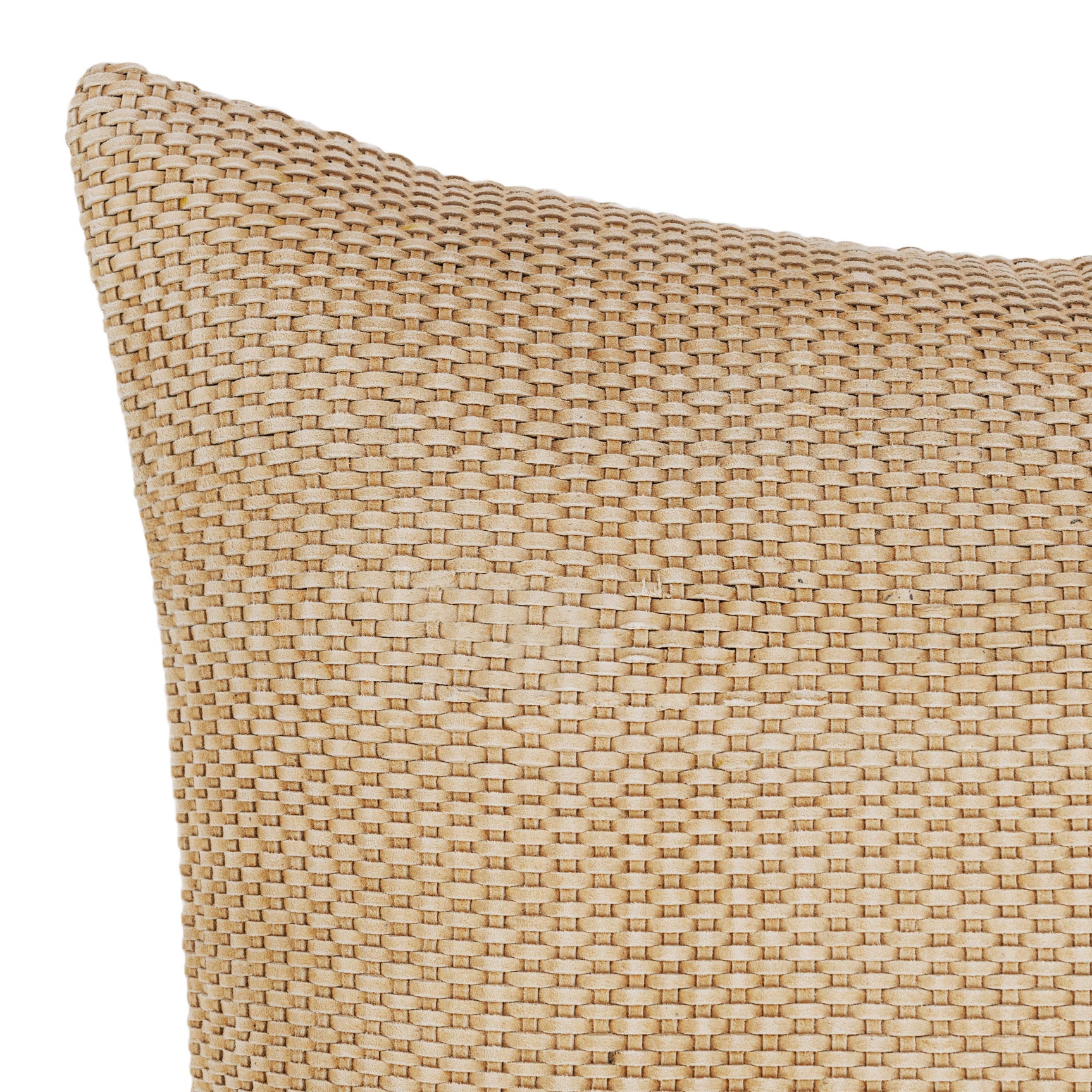 SLD Tan Bassinet 18x18 Throw Pillow (Set of 2) - Ornate Home