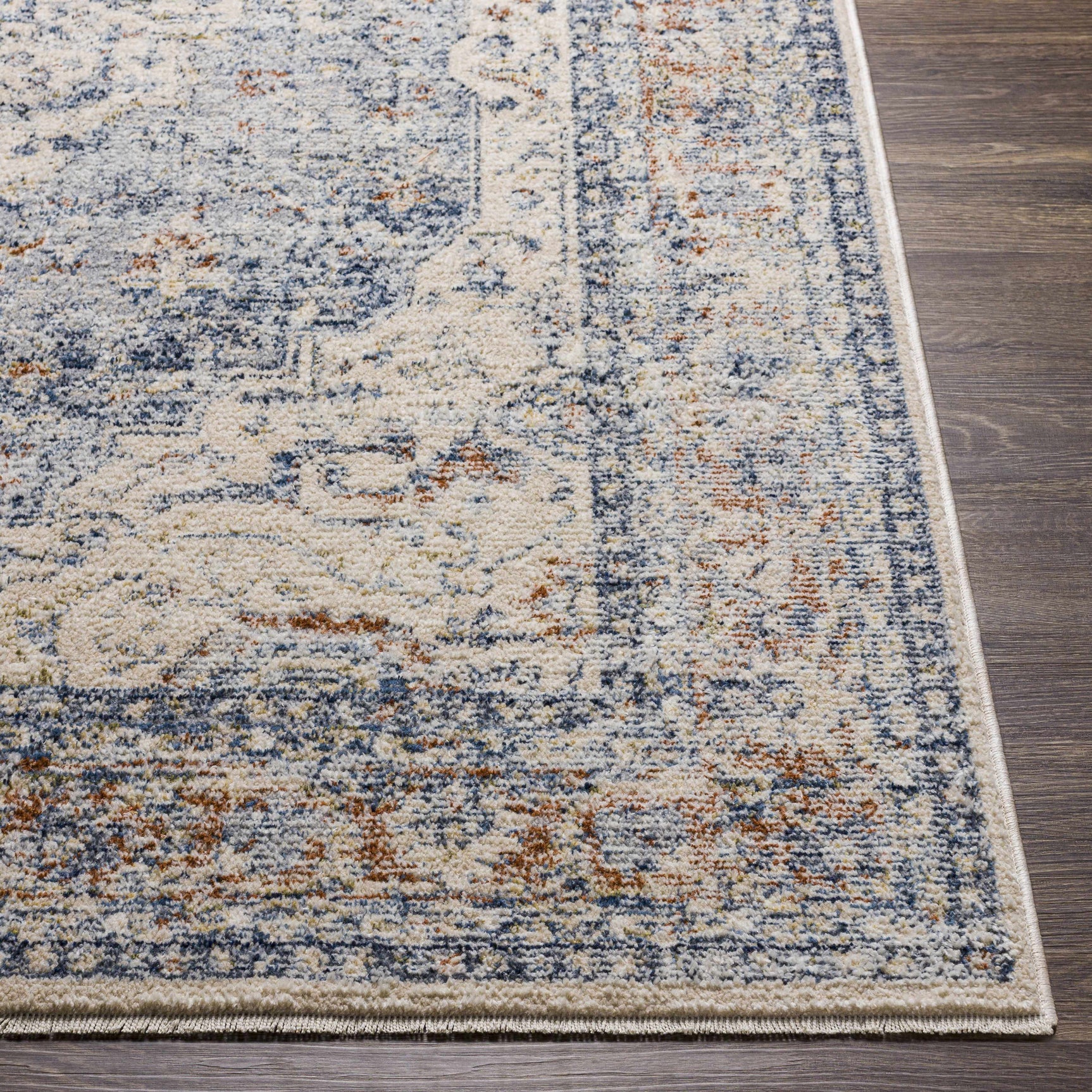 Salmo Area Rug - Clearance - Ornate Home