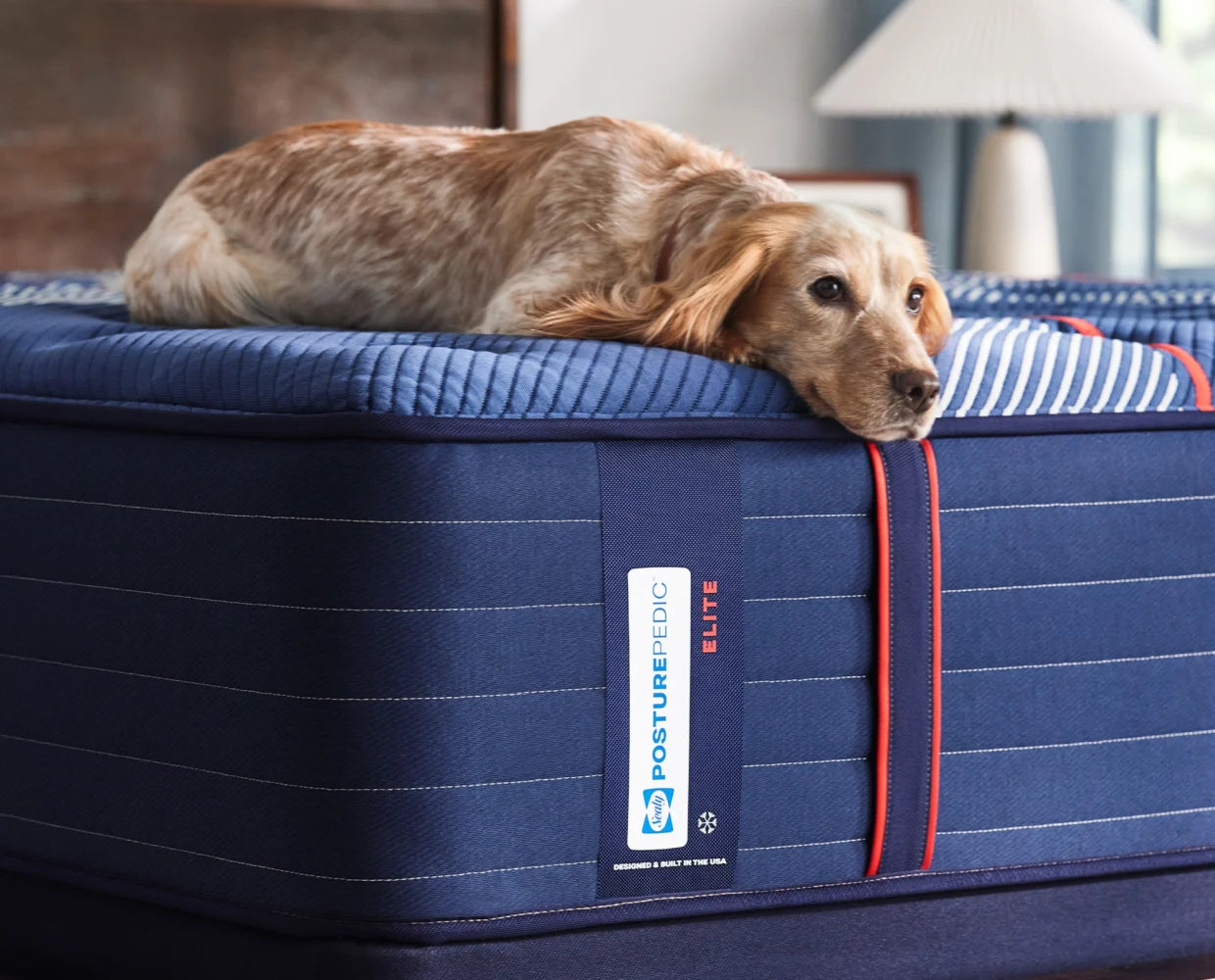 Sealy® Posturepedic® Elite Albany II Firm Mattress - Ornate Home