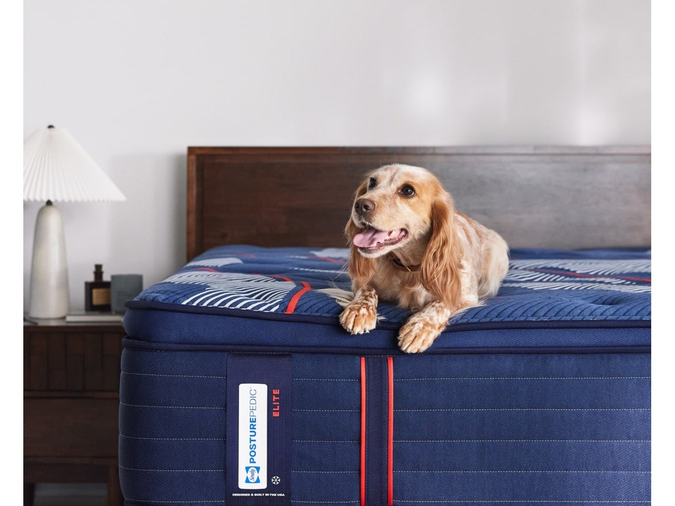 Sealy® Posturepedic® Elite Albany II Pillow Top Soft Mattress - Ornate Home