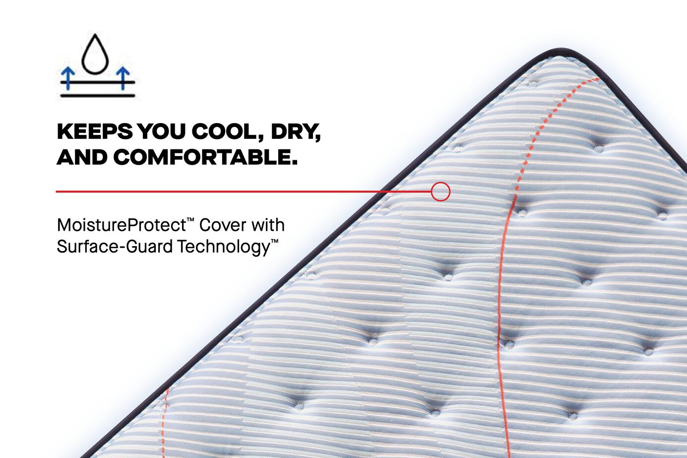 Sealy® Posturepedic® Spring Medina II Firm Mattress - Ornate Home