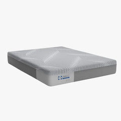 Sealy Mattress
