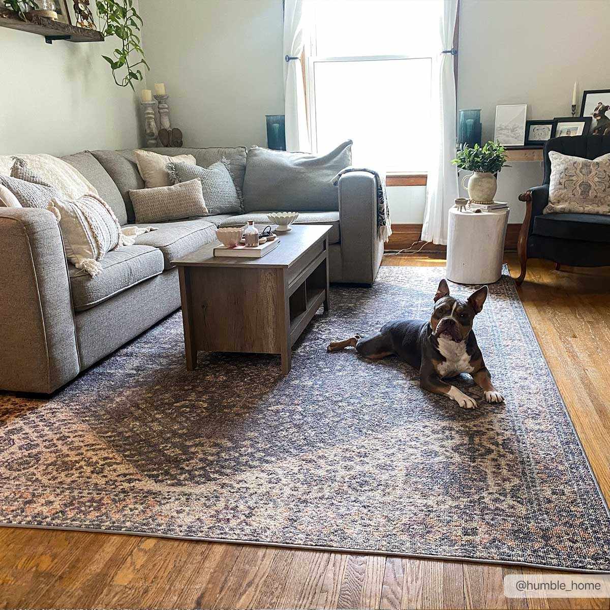 Seok Washable Area Rug - Clearance - Ornate Home