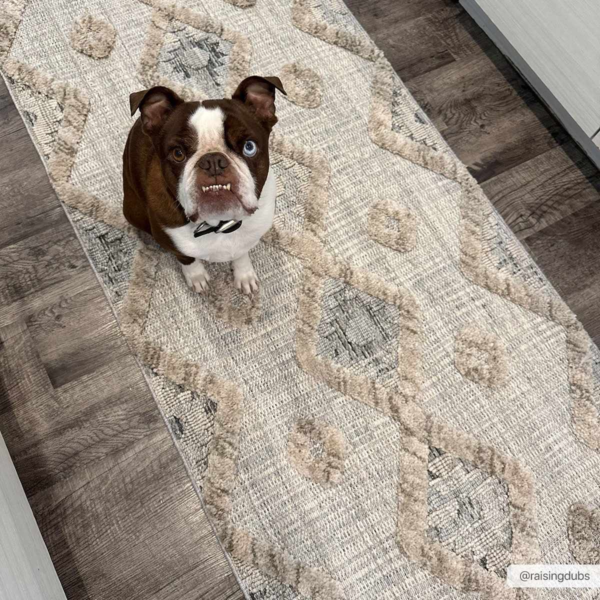 Serkomen High-Low Area Rug - Clearance - Ornate Home