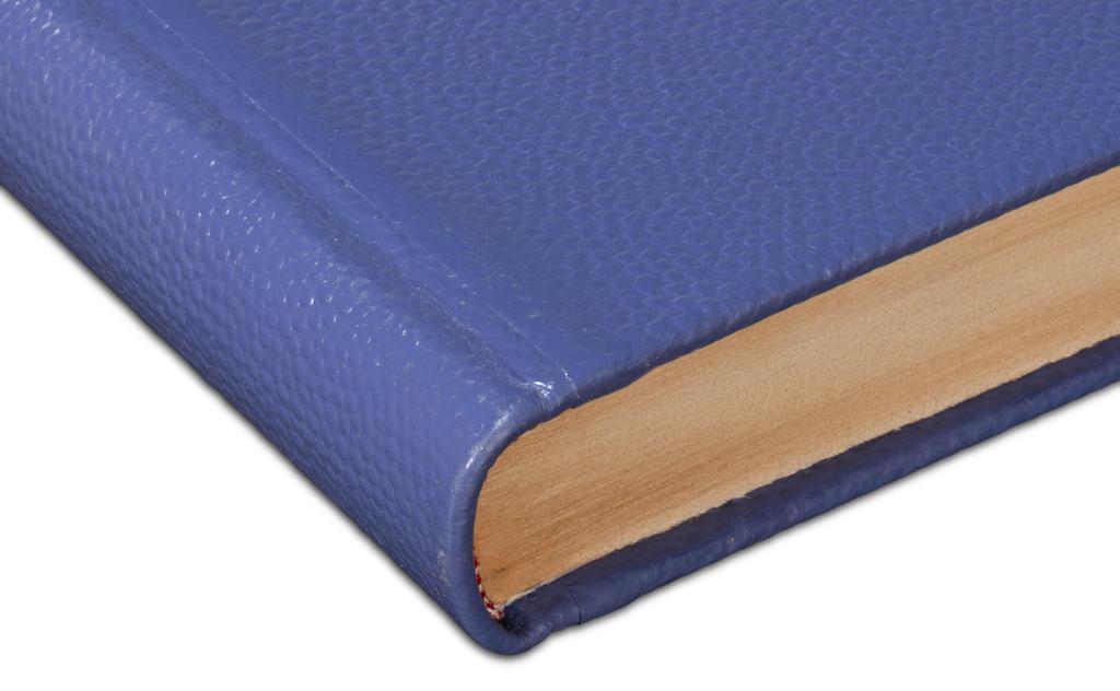 Shagreen Blue Books (Set of 12) - Ornate Home