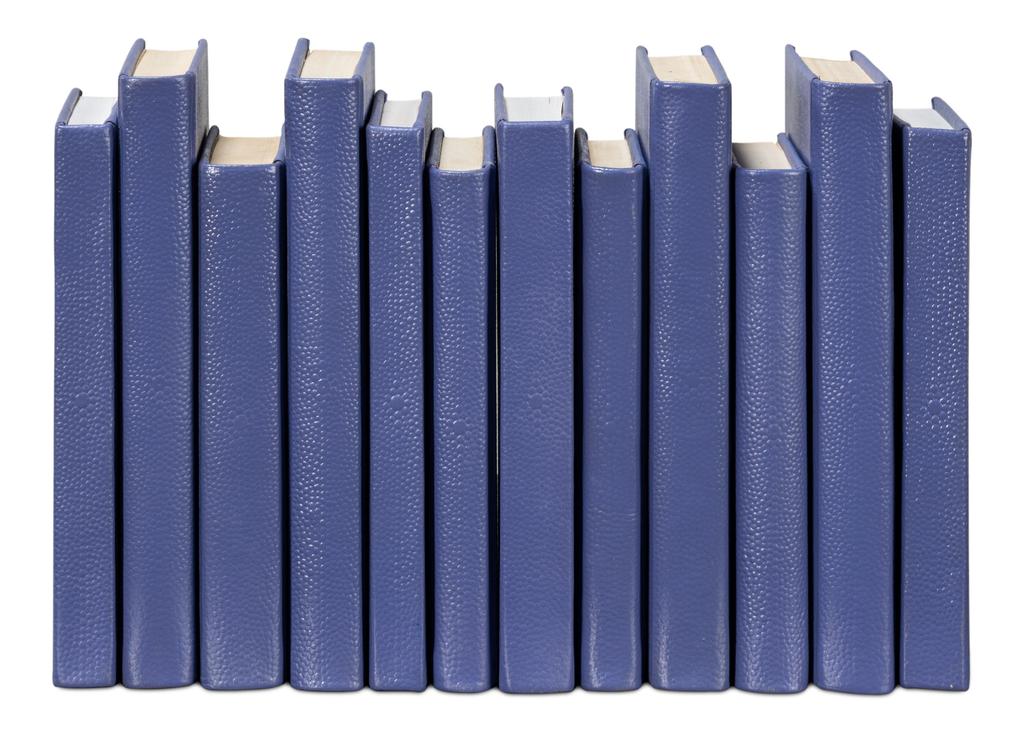 Shagreen Blue Books (Set of 12) - Ornate Home