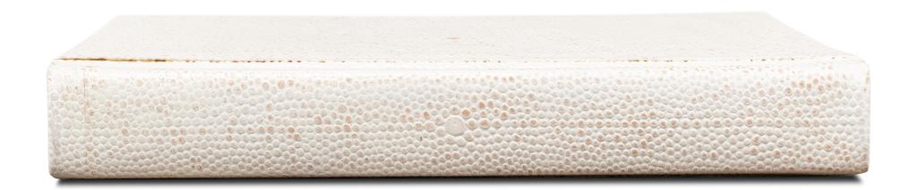 Shagreen Library White Books (Set of 12) - Ornate Home