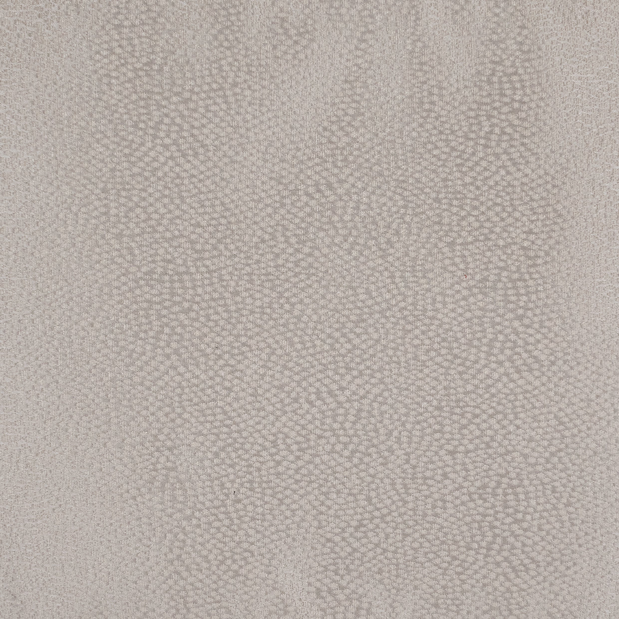 Skylar Champagne Comforter Set - Ornate Home