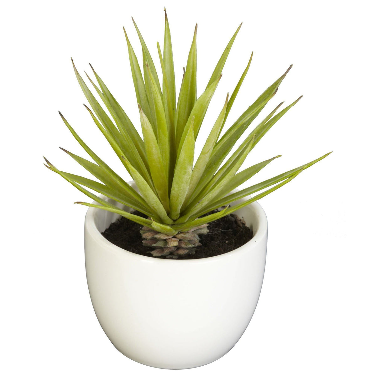 Southwest Artificial Succulent Collection - Set of 3