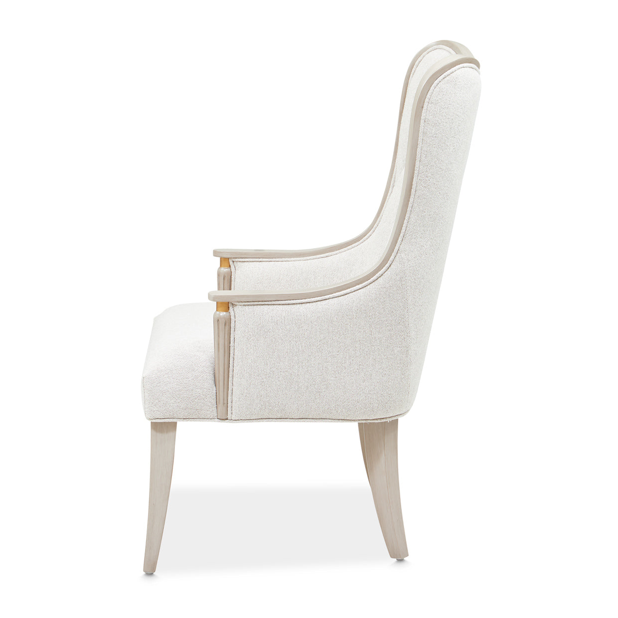 St. Charles Dove Gray/Cirrus Dining Arm Chair (Set of 2) - Ornate Home