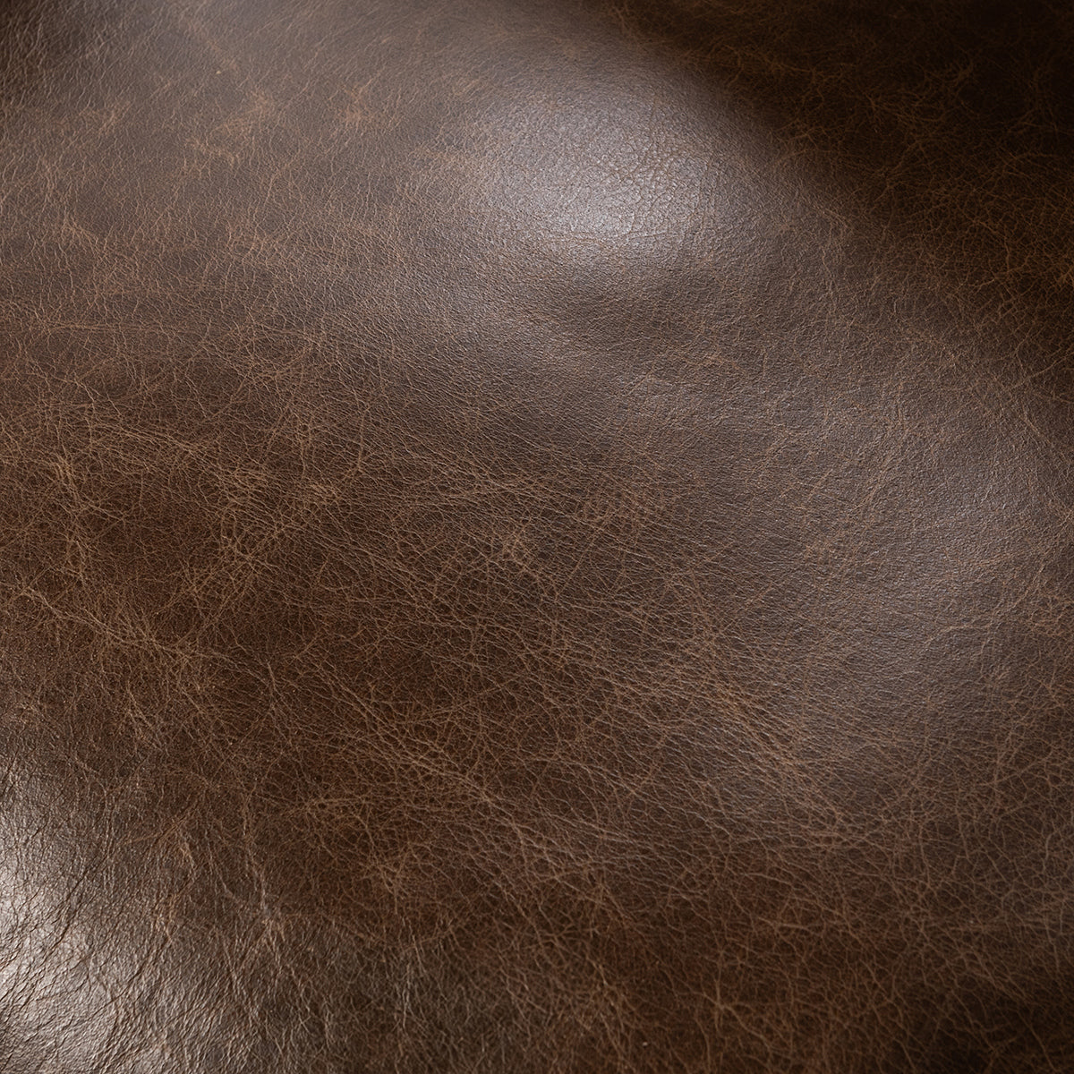 Strapling Cocoa Brown Dining Chair - Ornate Home