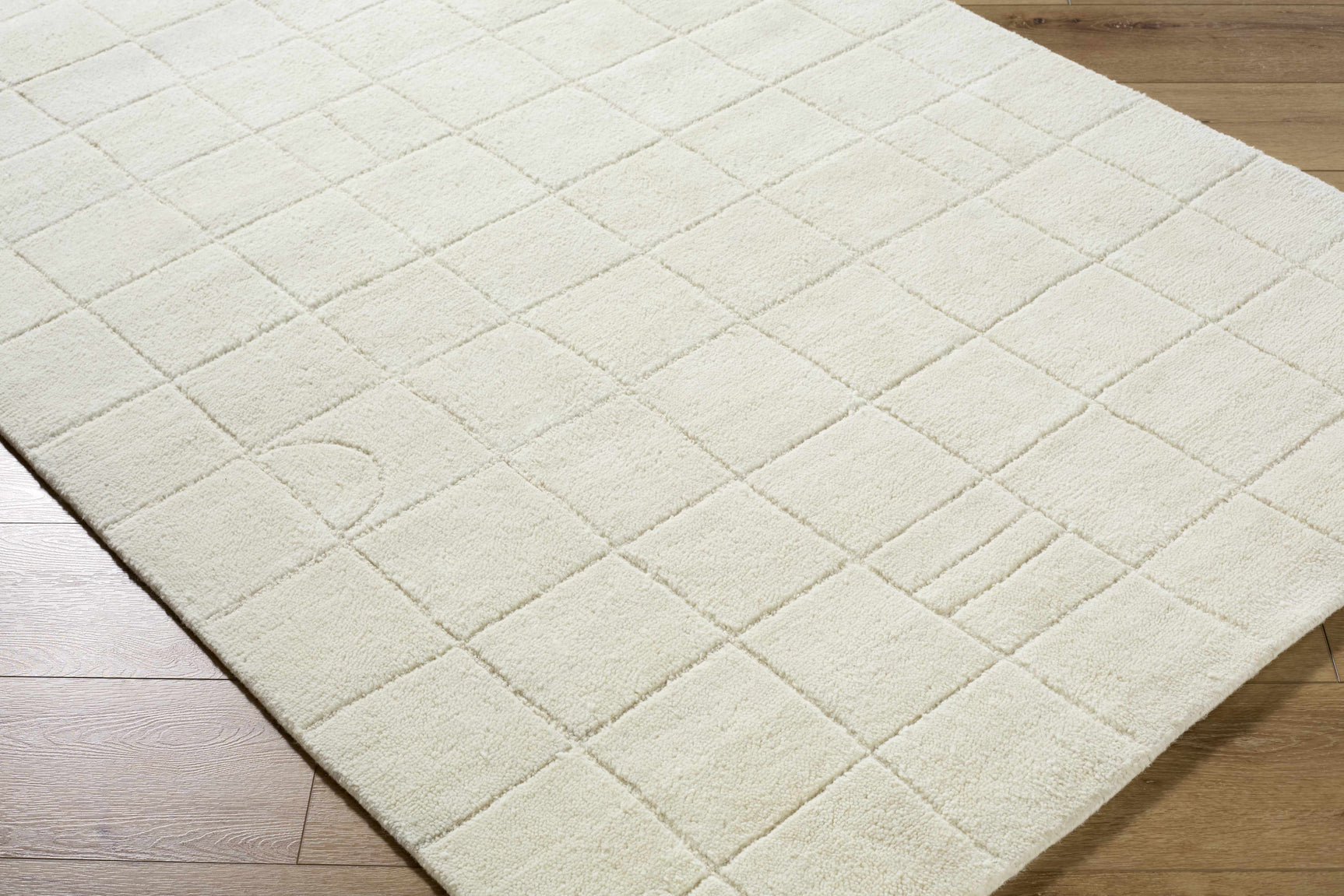 Tuuka Silver Beige Area Rug - Clearance