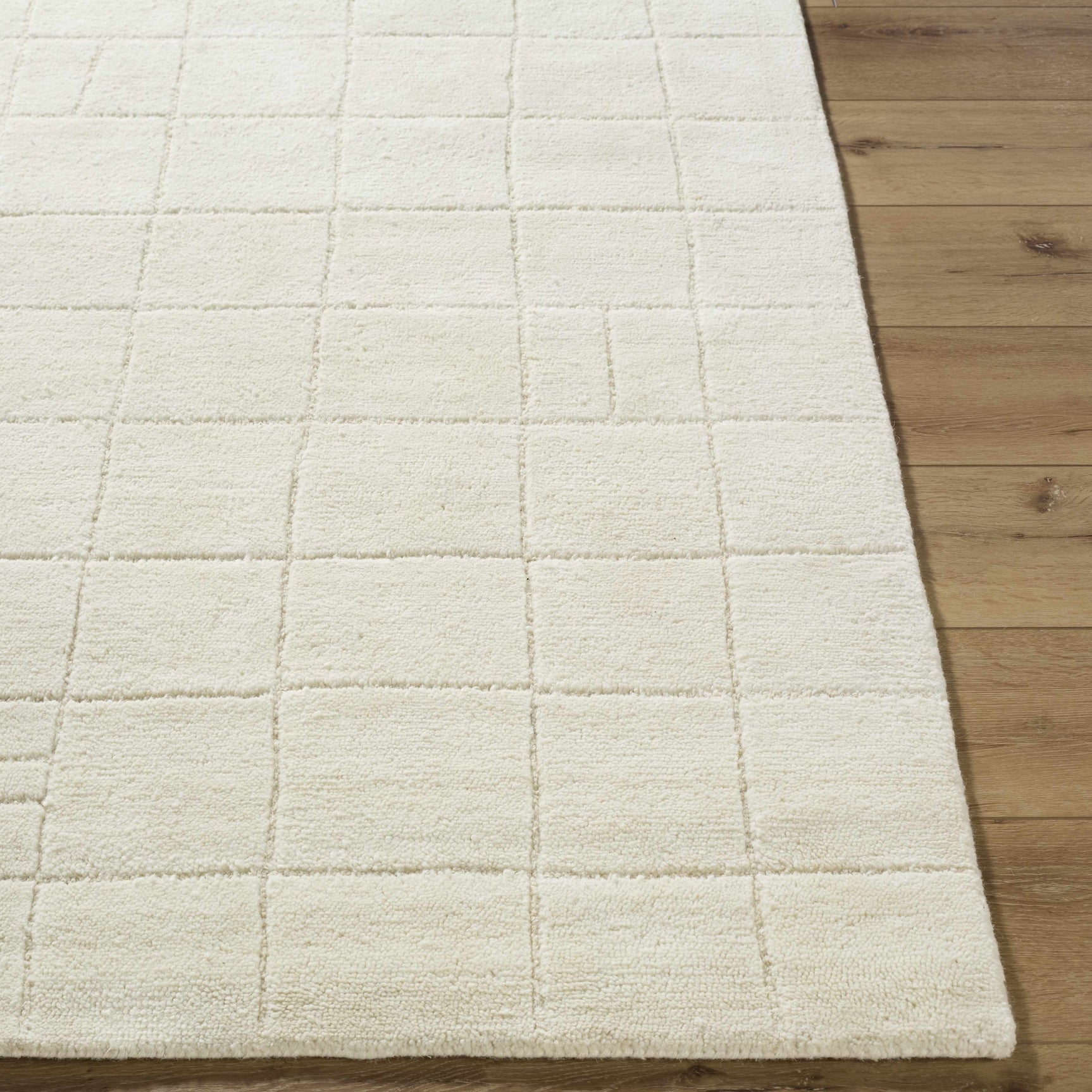 Tuuka Silver Beige Area Rug - Clearance