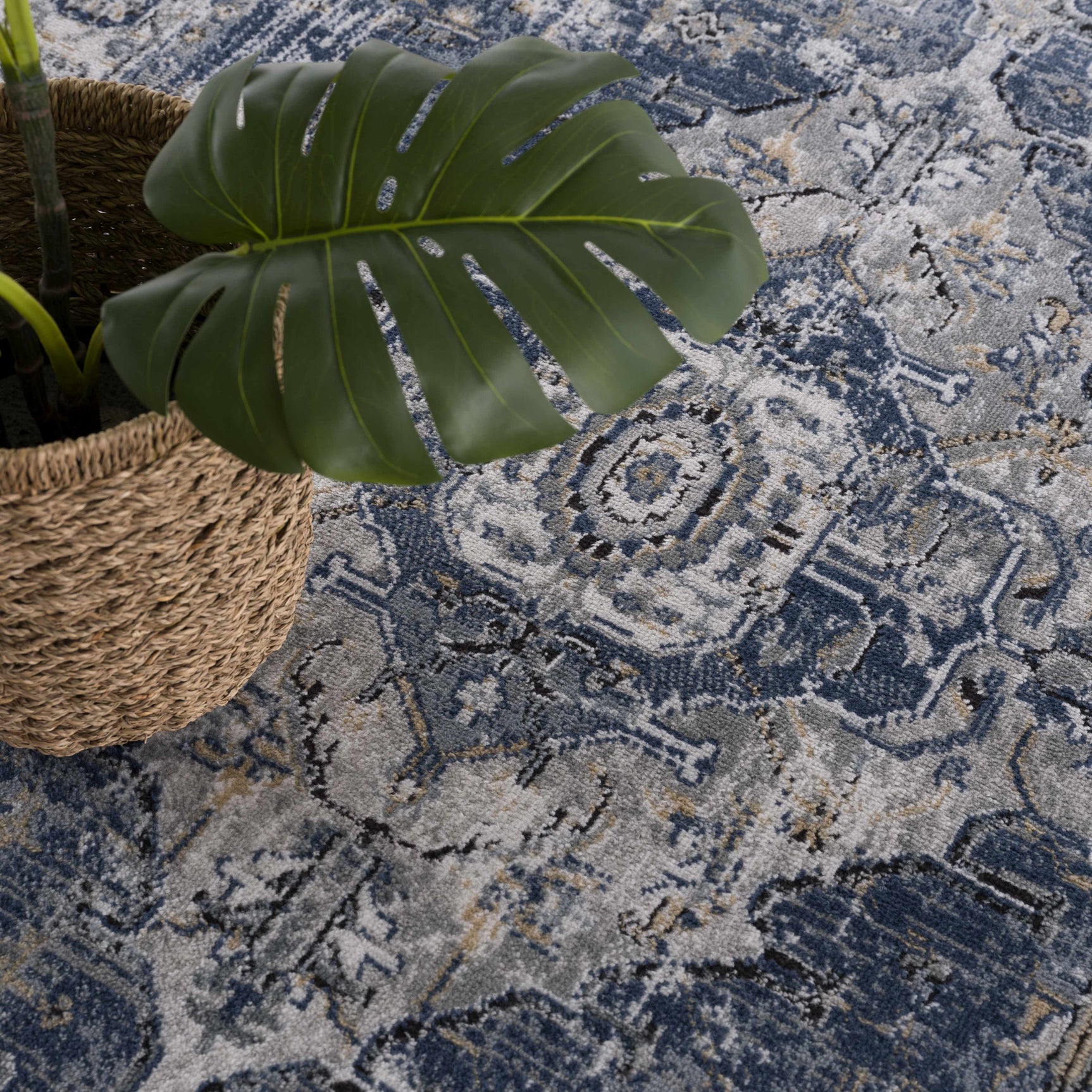 Telina Area Rug - Ornate Home