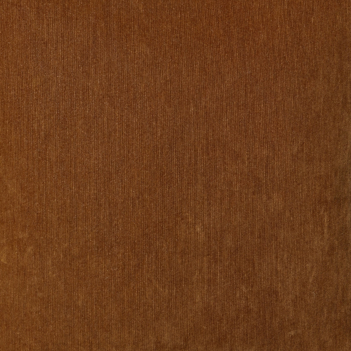 Tildon Amberwood 24"x24" Throw Pillow (Set of 2)