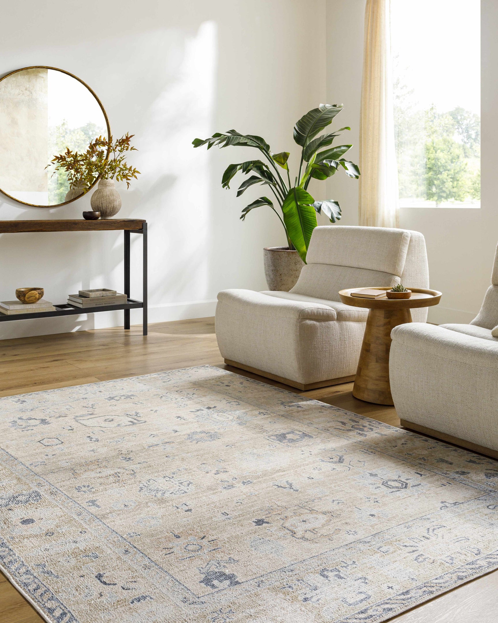 Toddy Area Rug - Ornate Home