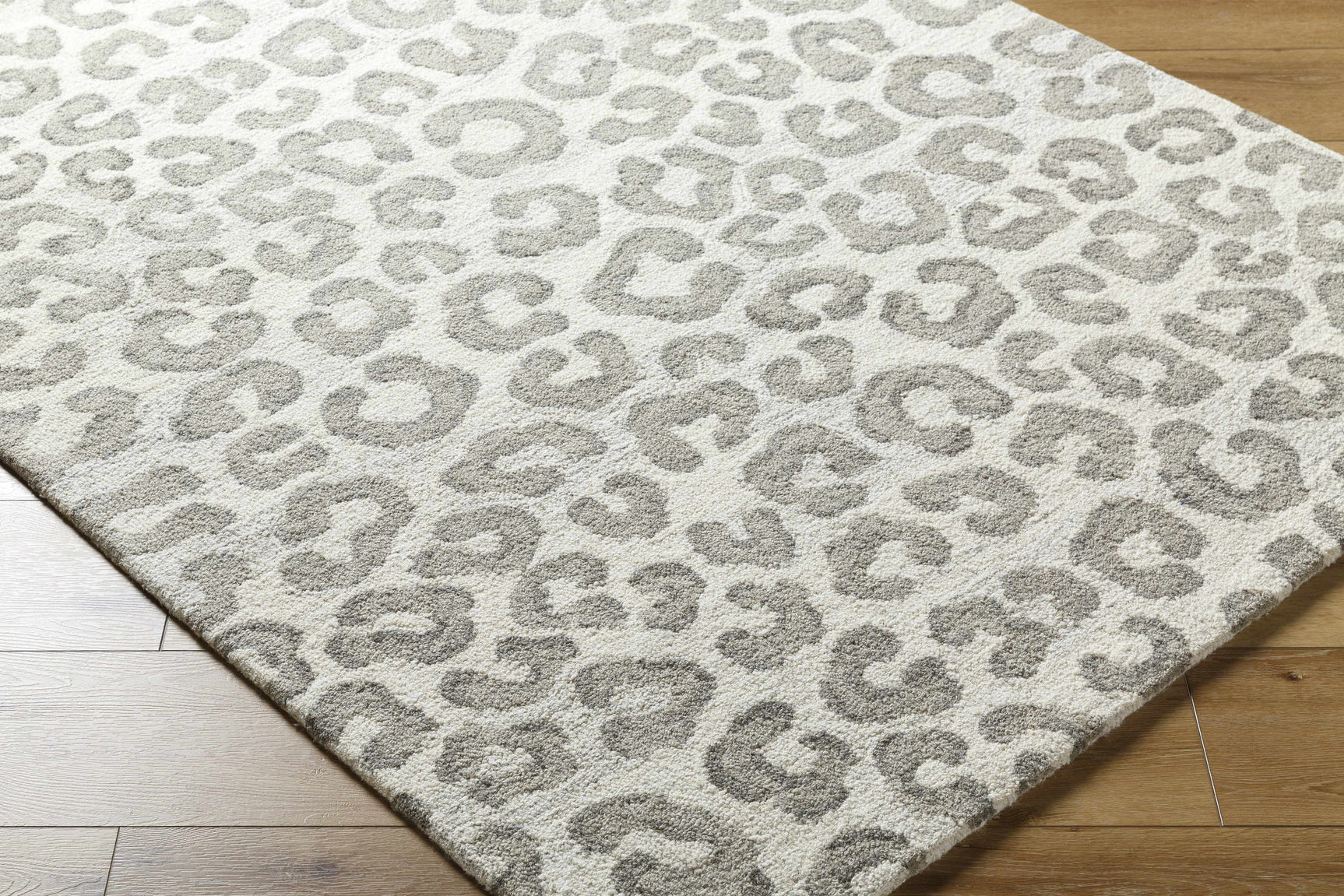 Tomas Area Rug - Clearance - Ornate Home