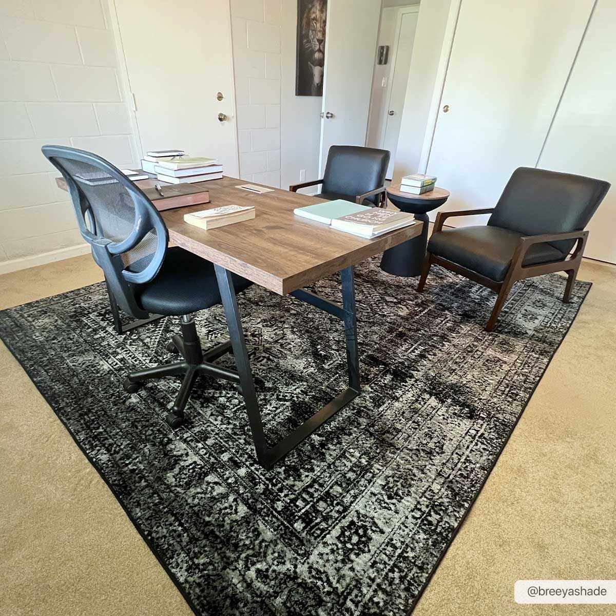Toni Area Rug - Clearance - Ornate Home