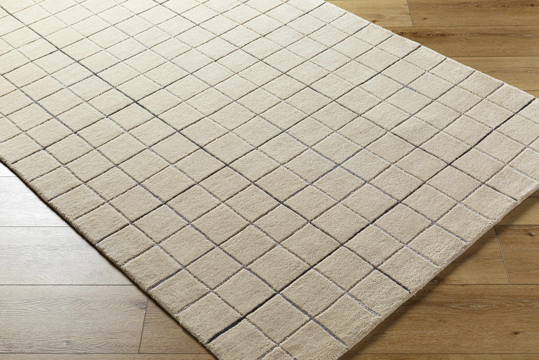 Toshi Beige Area Rug - Ornate Home