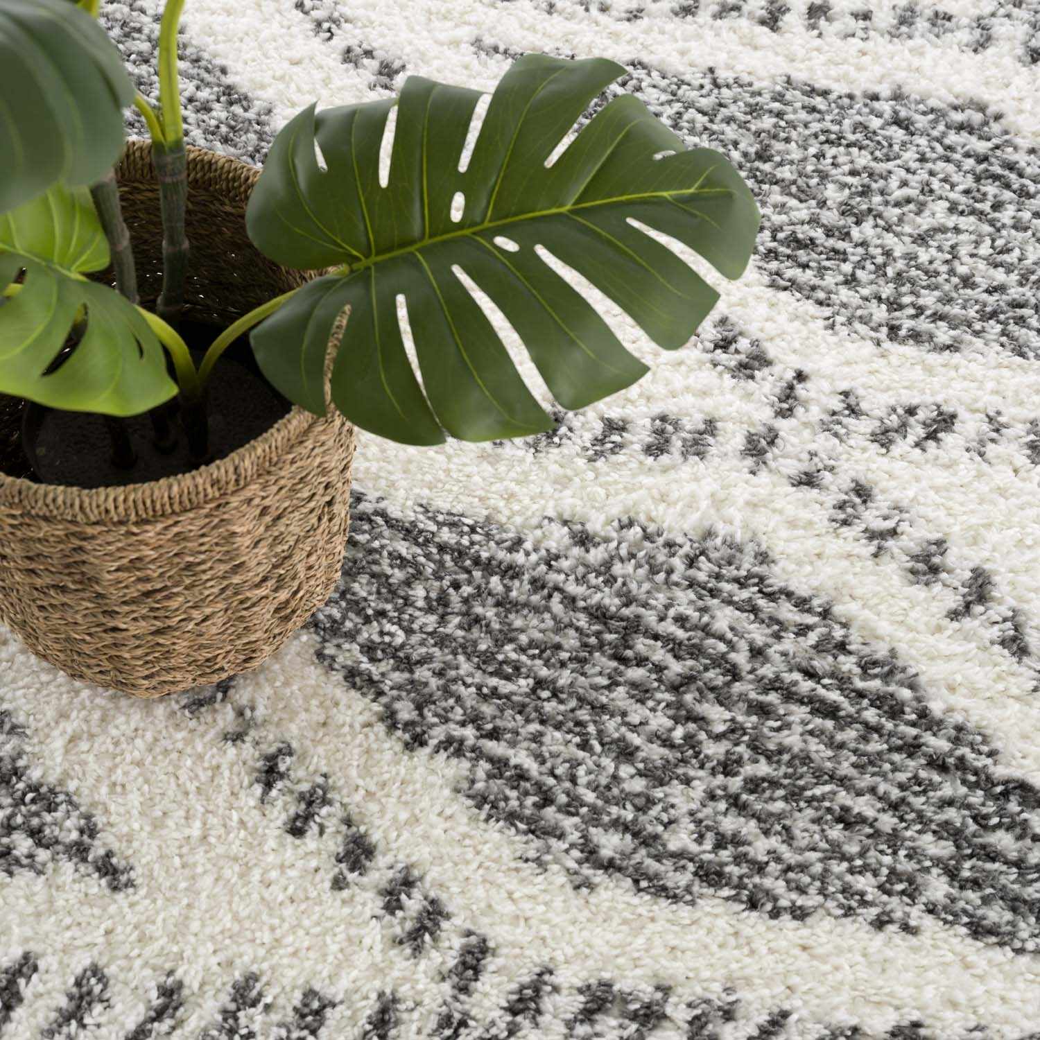 Trunding Plush Area Rug - Ornate Home