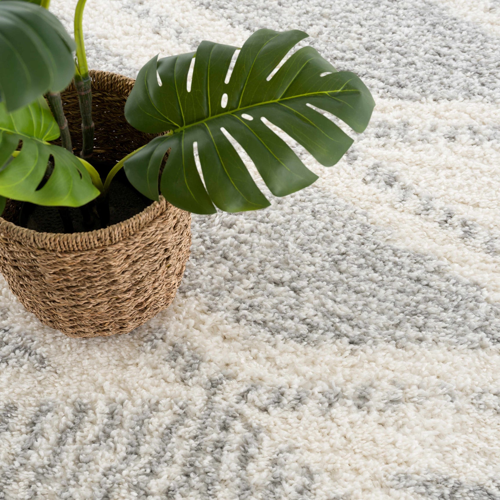 Trunding Plush Area Rug in Gray - Ornate Home