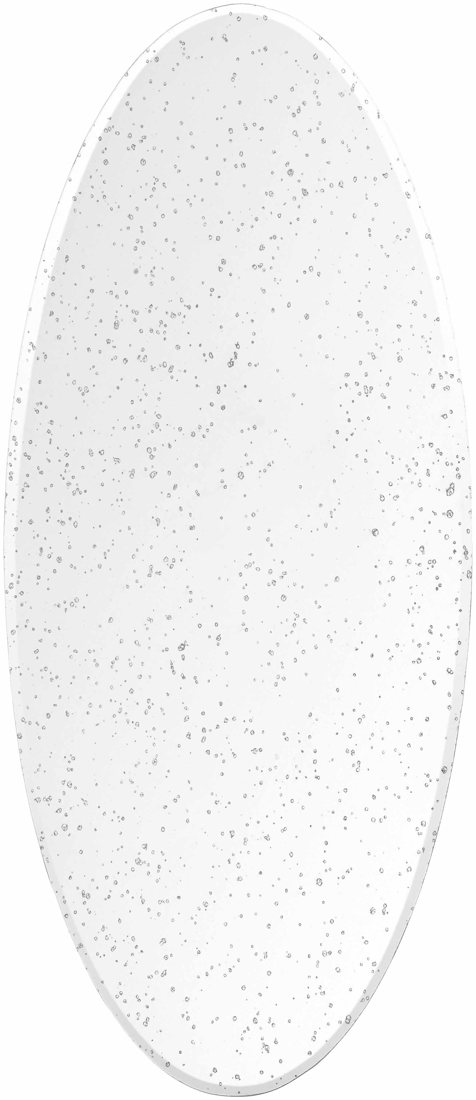 Tunga Mirror - Clearance - Ornate Home