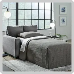 Twin Sleeper Sofas