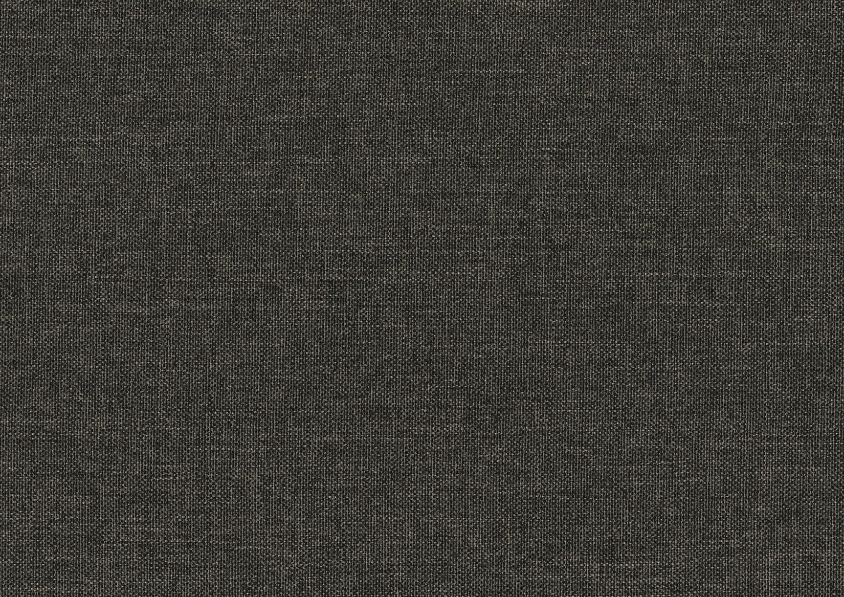 Vining Dark Gray Daybed with Trundle - Ornate Home