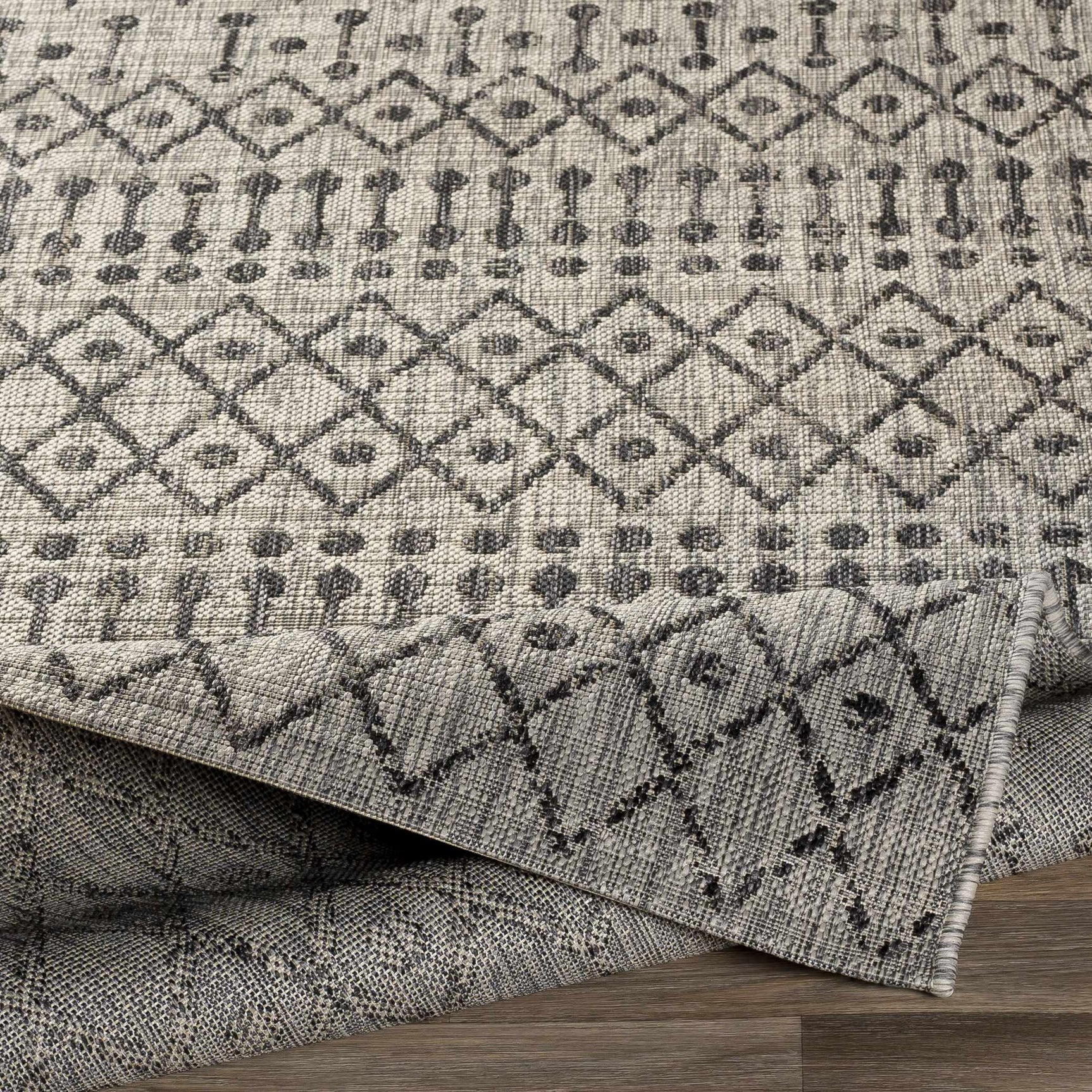 Wallkill Outdoor Area Rug - Ornate Home