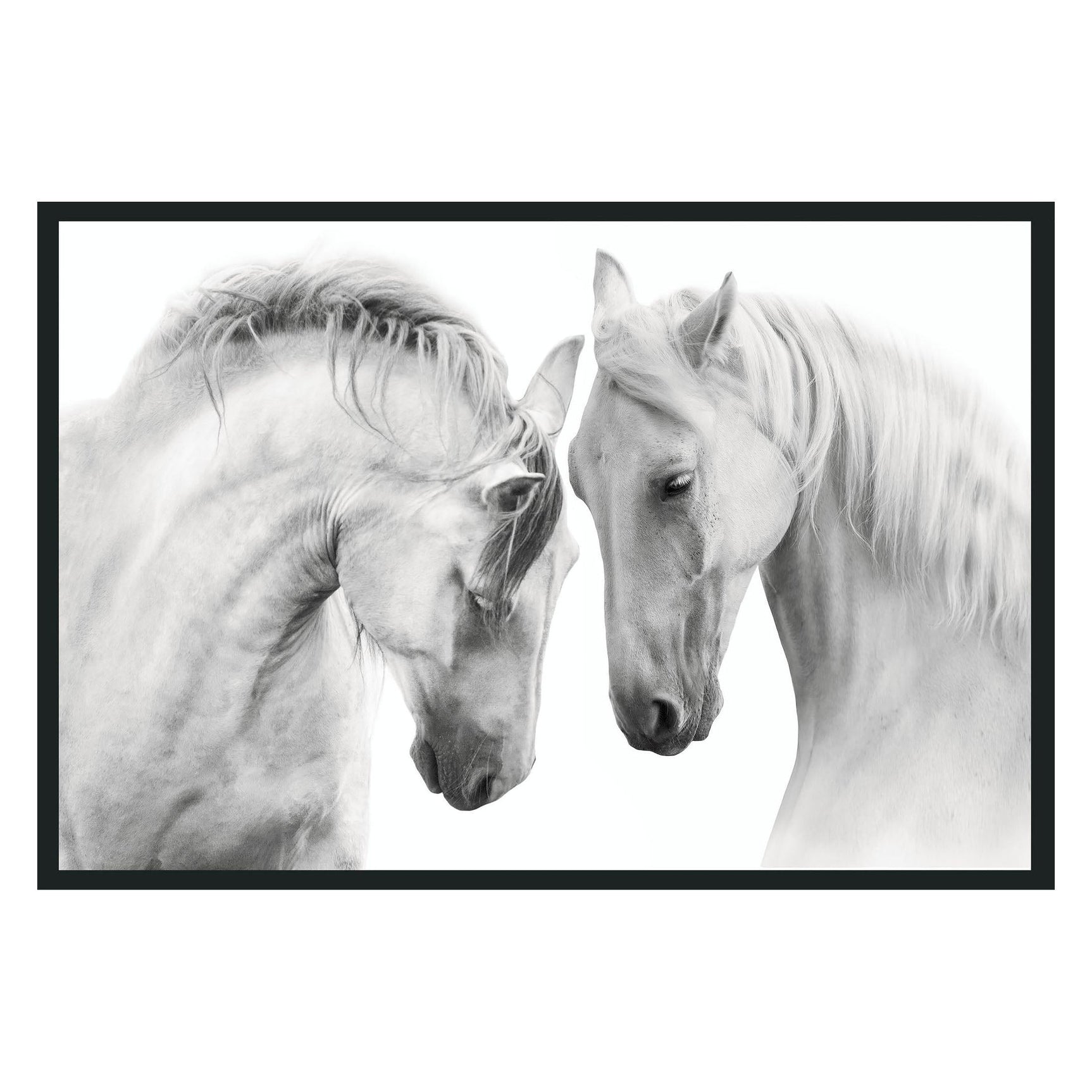 White Horses White Photography - Ornate Home