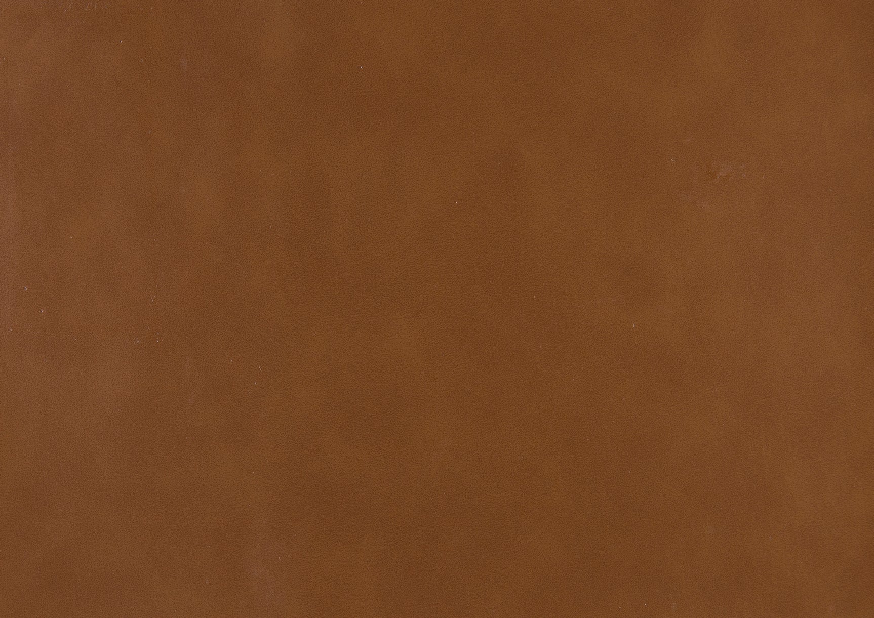 Wilcox Brown Daybed w/ Trundle - Ornate Home