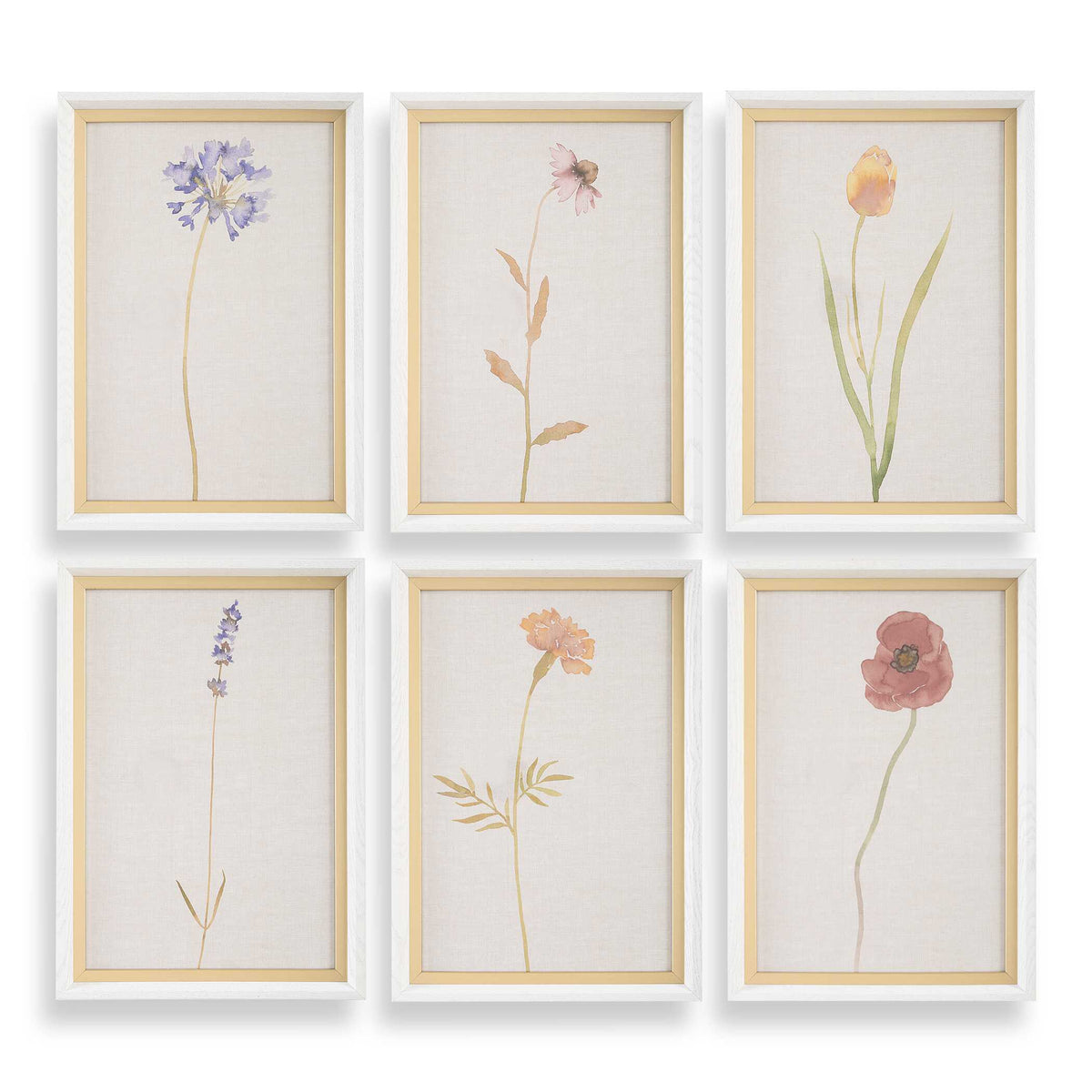 Wild Flourish Multicolor Framed Floral Prints (Set of 6) - Ornate Home